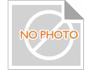 latest company news about 태양광 정원 램프: 지속 가능한 야외 공간의 미래를 밝히다